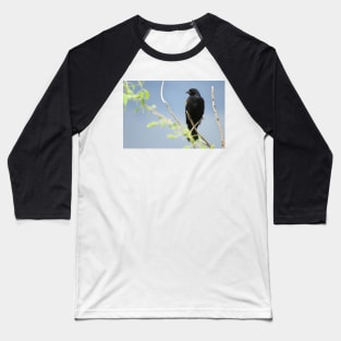 Red-winged blackbird in Colorado Baseball T-Shirt